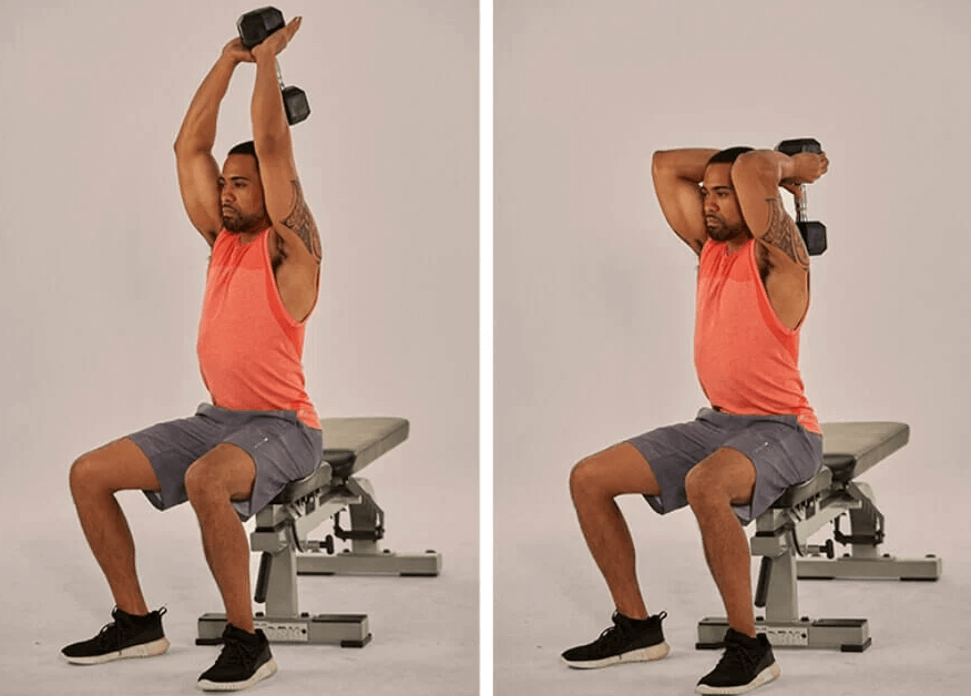 So, how exactly is the seated tricep press done