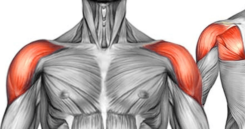 Your shoulder muscles also become engaged when doing the seated tricep press exercise