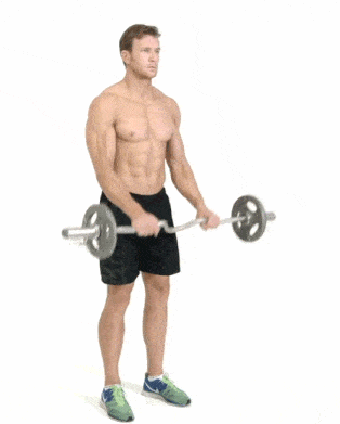 The Reverse Curl Exercise