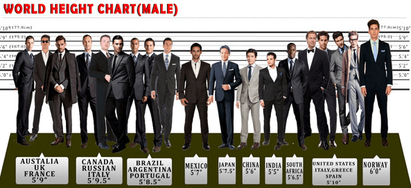 What factors determine the height of a person