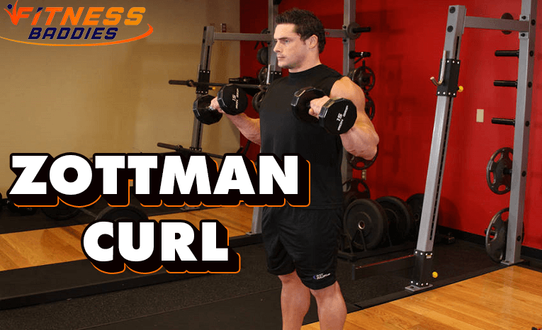 Zottman Curl - How To, Variations, Benefits, Muscles Worked, Beginner Mistakes, & Alternative Exercises