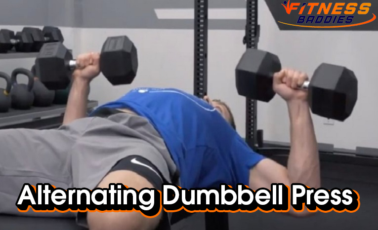 Alternating Dumbbell Press, How to, Benefits, Muscles Worked, Variations, Mistakes To Avoid And Alternative Exercises