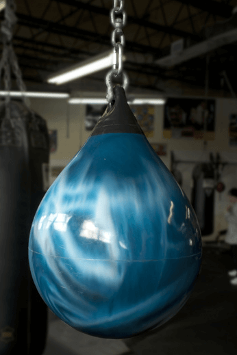 Buy Aqua Training Bag 15 75 Pound Heavy Punching Bag Global Series x  Mexico Online at Low Prices in India  Amazonin