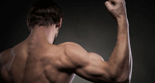 Doing Shoulders After Chest Day – Is It Worth It