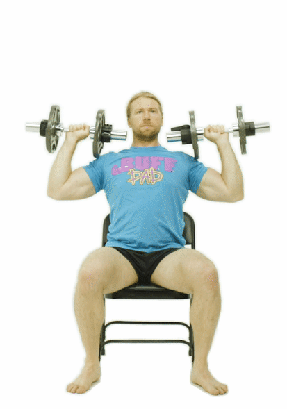 Seated Shoulder Press is part of Workout B