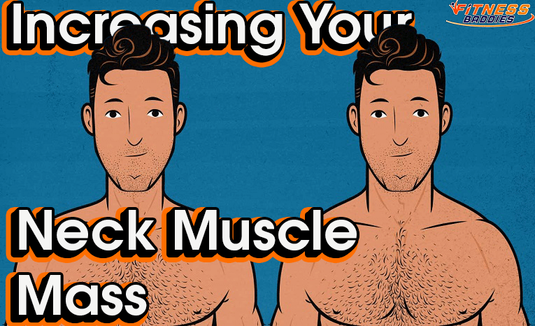 Increasing Your Neck Muscle Mass - And How to Use a Neck Harness