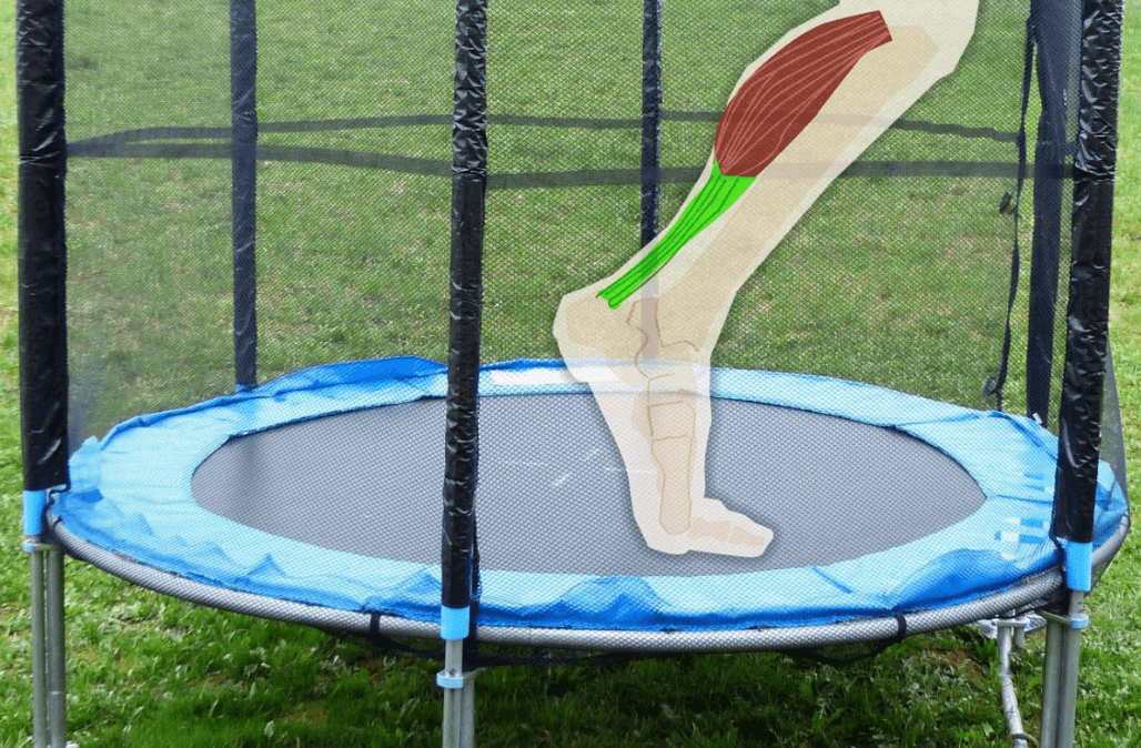 Trampoline workout works just about all your leg muscles