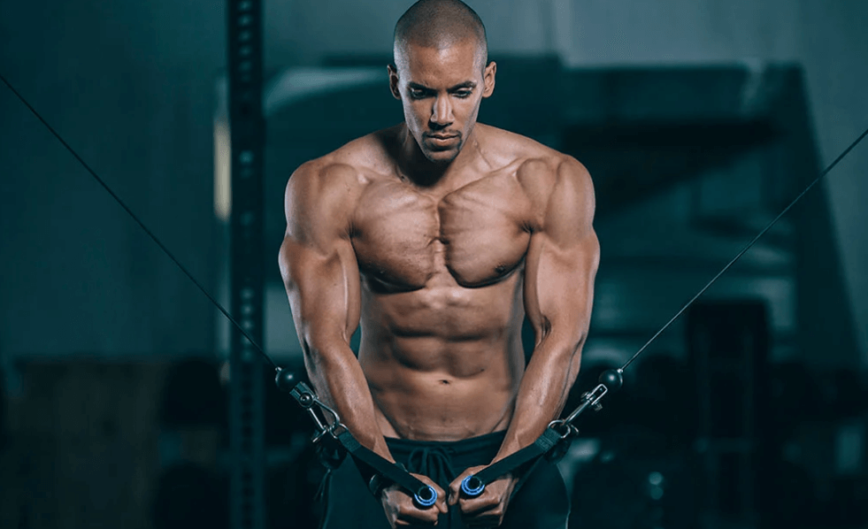 Building your chest with pec cable flys will work on the pectoral muscles and is an essential part of strength training.