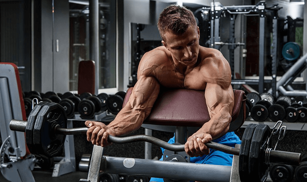Preacher curls isolates your elbow flexors and targets the long head biceps 