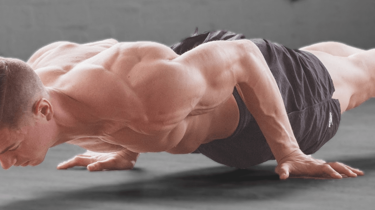 To know how to do a planche, first understand what the planche push up is