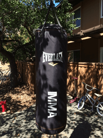 This bag is the go-to pick for MMA and Muay Thai pros