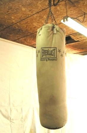 The Everlast 100 lb Canvas Heavy Bag has a lot going for it 