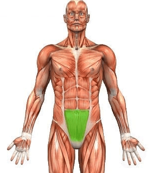 If there's any part of your abs that you should really tarrget it has to be the lower abs