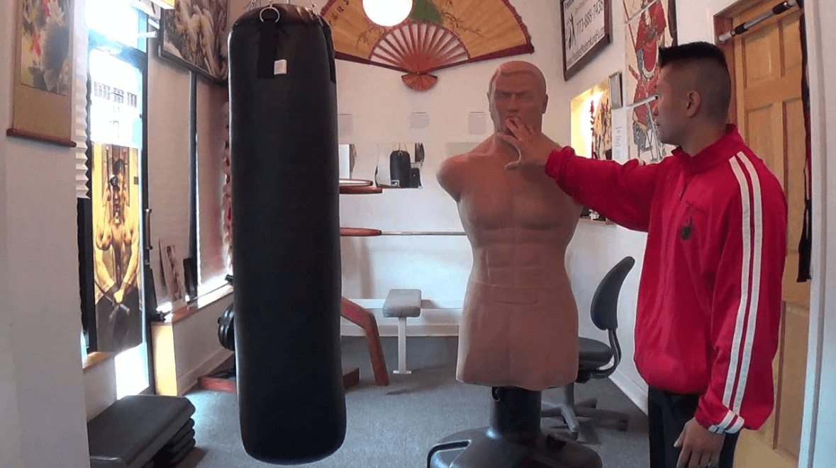 The Century Bob XL is perfect for both MMA, and kick boxing 
