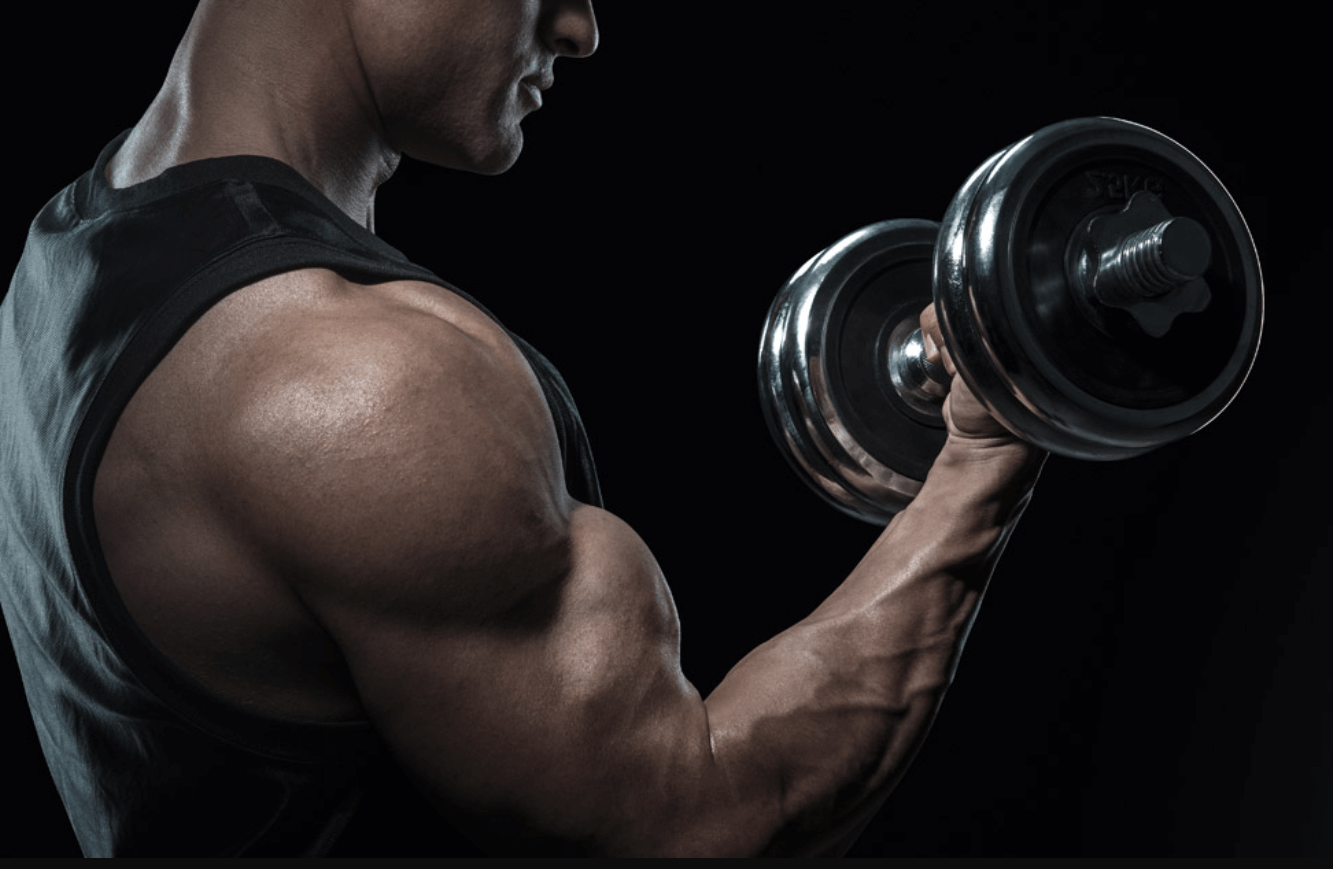Upper body muscles benefits the most from the Congdon curls especially biceps and triceps