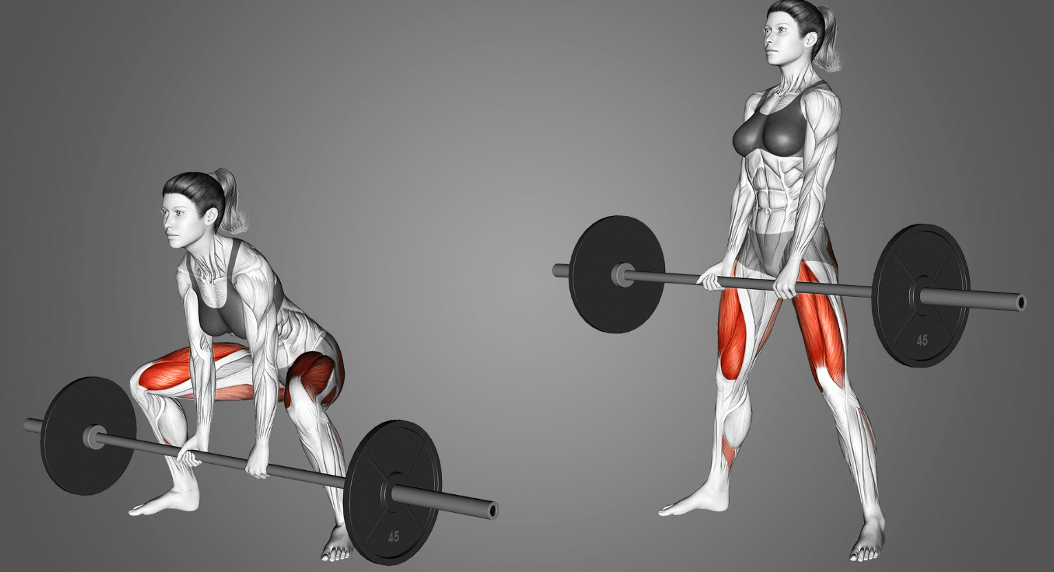 The Sumo Deadlift is a full body exercise that works the glutes, hamstrings, calves, quads, and core muscles