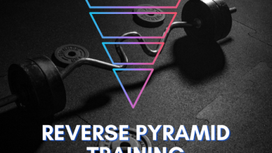ReVerse Pyramid Training What You Need to Know